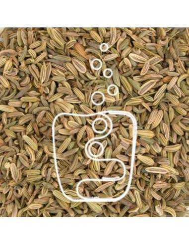 Hinojo: propiedades medicinales y beneficios de la infusión de sus semillas